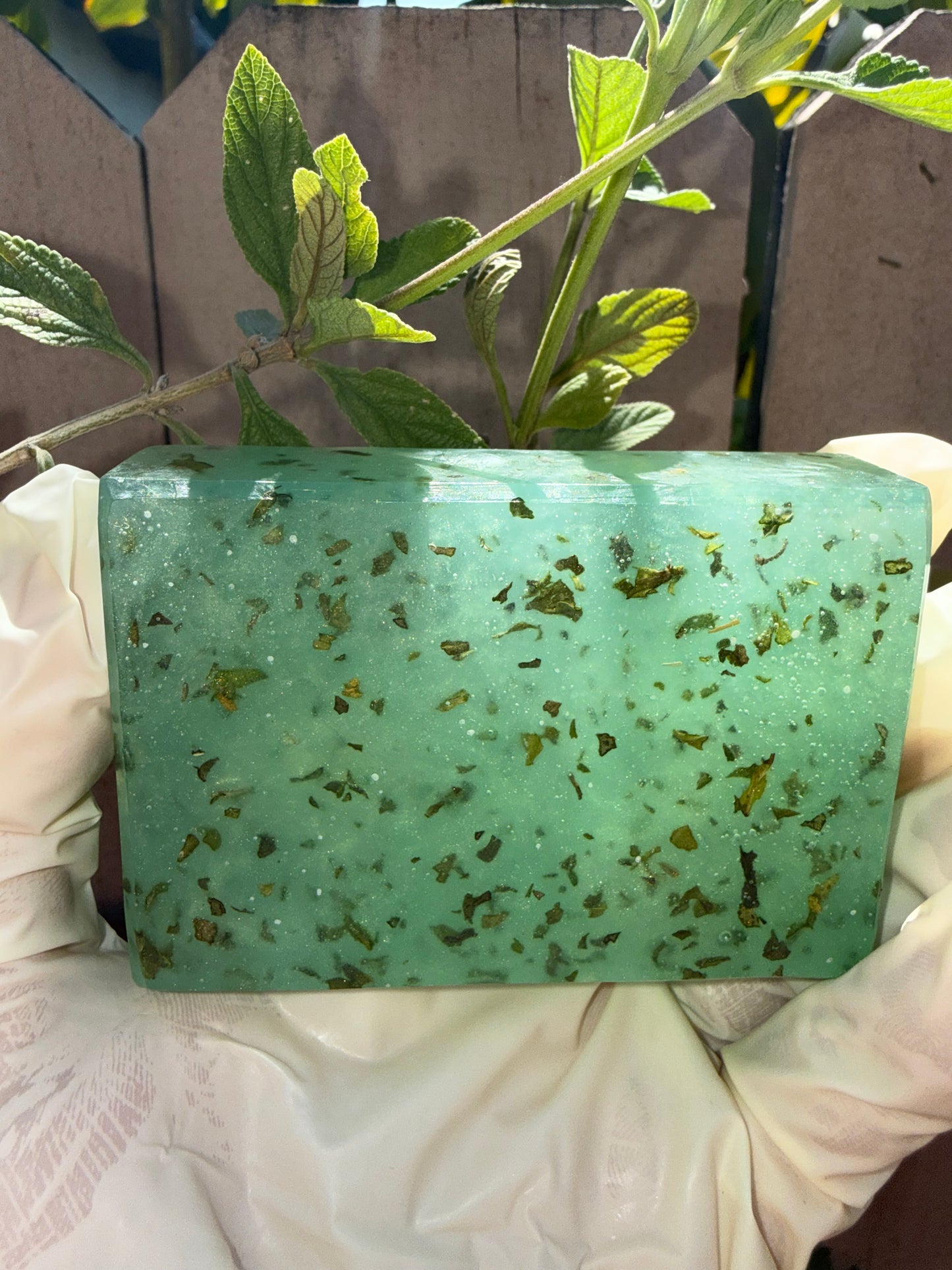 Eden Fresh Intimate Soap with Real Mint Leaves and Alum