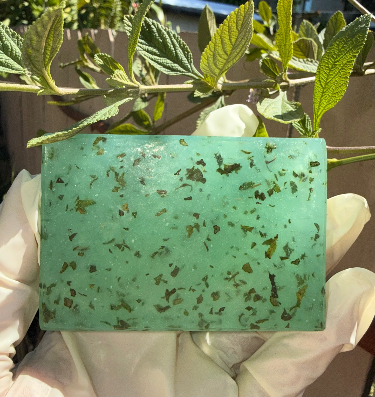 Eden Fresh Intimate Soap with Real Mint Leaves and Alum